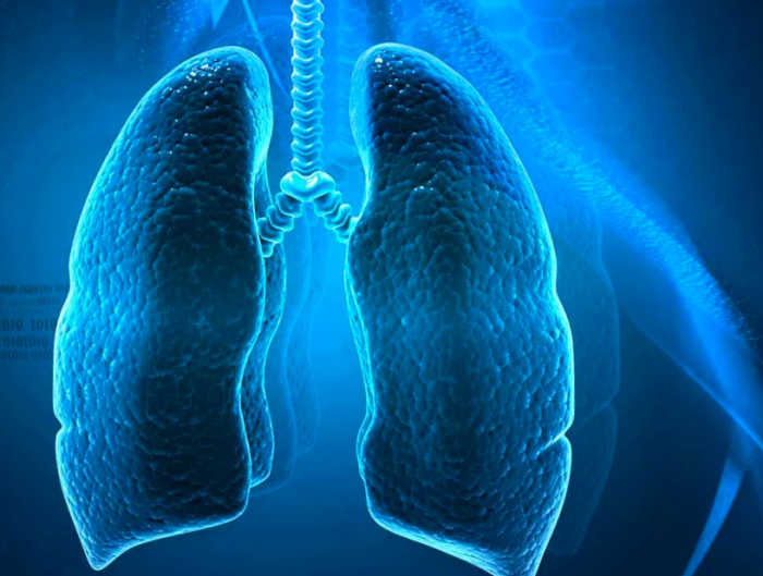 asbestos-lung-mesothalioma